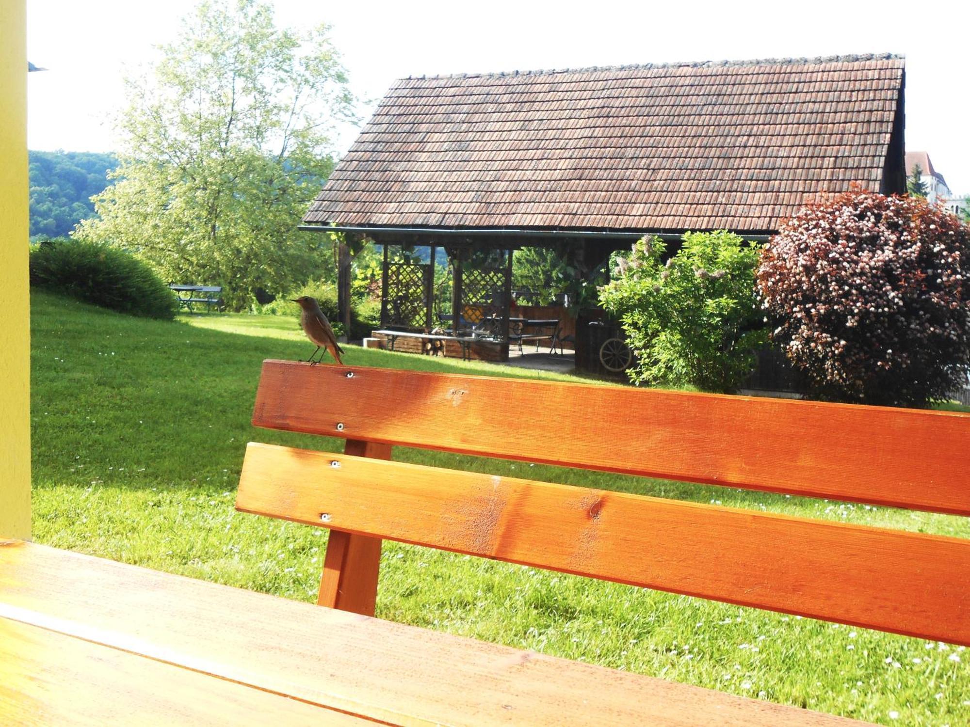 Ferienwohnungen Karin Am Seggauberg Leibnitz Exterior photo
