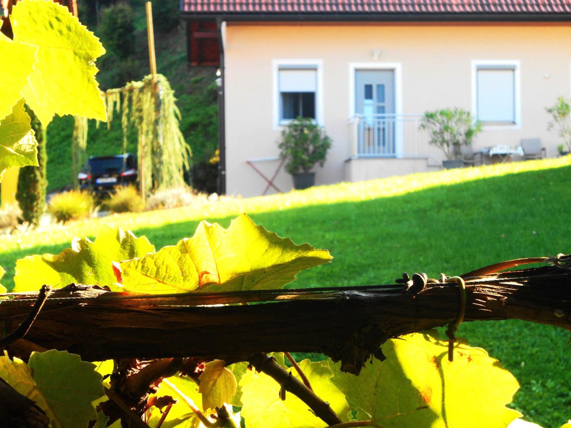 Ferienwohnungen Karin Am Seggauberg Leibnitz Exterior photo